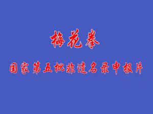 河南省非物质文化遗产申报片《梅花拳》